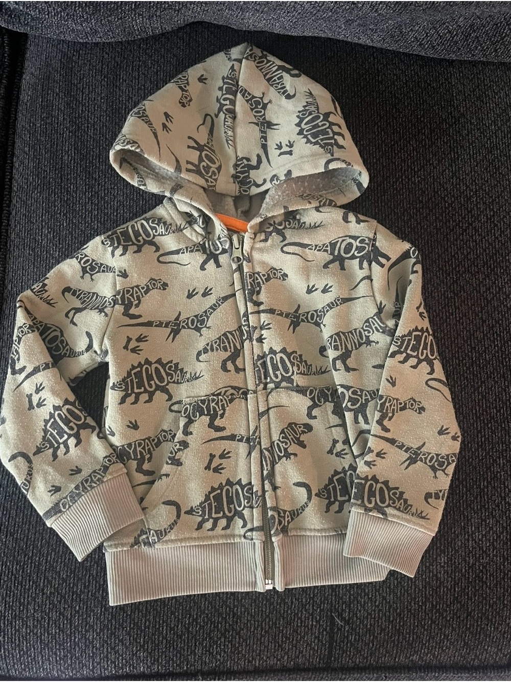 Kids Hoodie Jacket - Olive Green Dinosaur Print